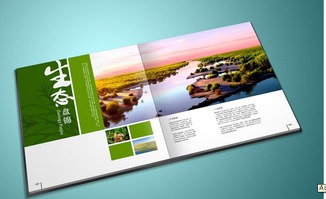 彩頁印刷 產品宣傳的視覺利器與實戰策略